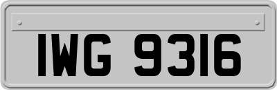 IWG9316