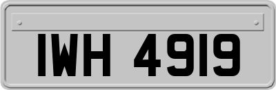 IWH4919