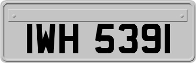 IWH5391
