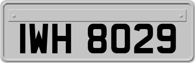 IWH8029