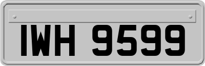 IWH9599