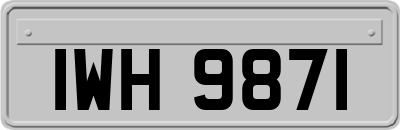 IWH9871