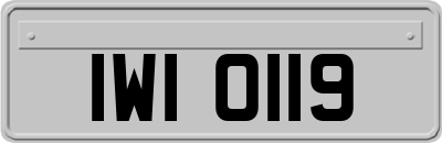 IWI0119