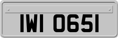 IWI0651