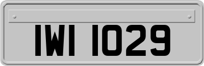 IWI1029