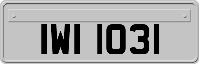 IWI1031