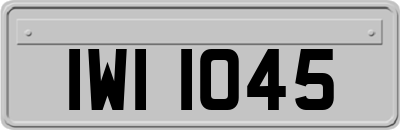 IWI1045