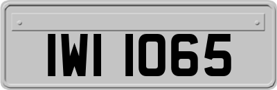 IWI1065