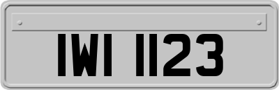 IWI1123