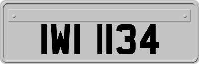 IWI1134