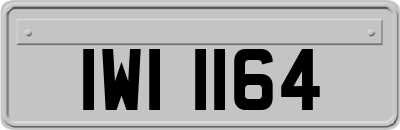 IWI1164