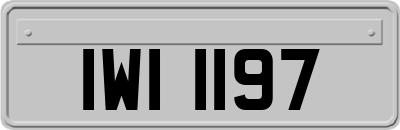 IWI1197