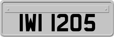 IWI1205