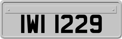 IWI1229
