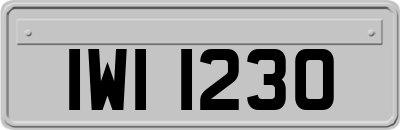 IWI1230