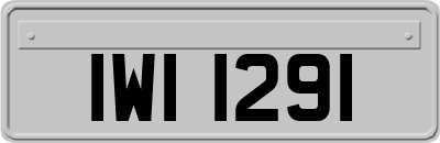 IWI1291