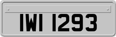 IWI1293