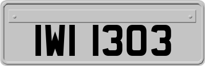 IWI1303