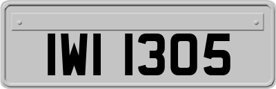 IWI1305
