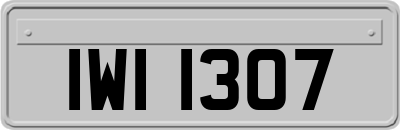IWI1307