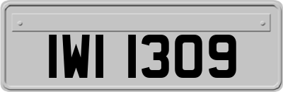 IWI1309