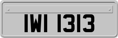 IWI1313