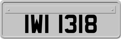 IWI1318