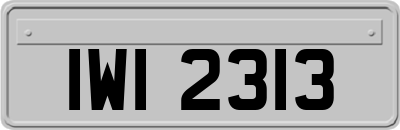 IWI2313