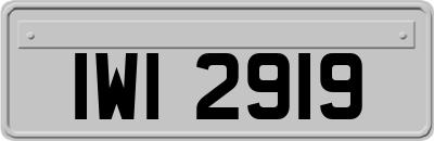 IWI2919
