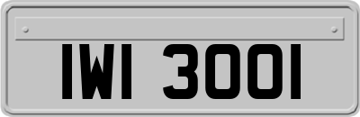 IWI3001