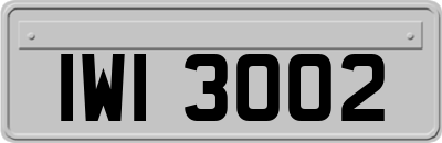 IWI3002
