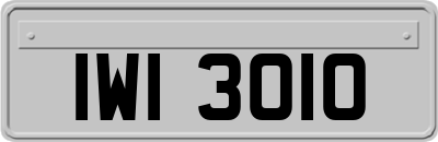 IWI3010