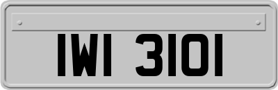 IWI3101