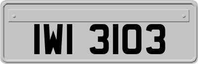 IWI3103