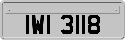 IWI3118