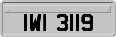 IWI3119