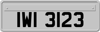 IWI3123