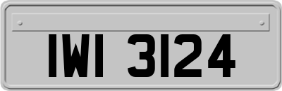 IWI3124