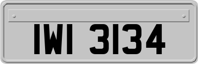 IWI3134