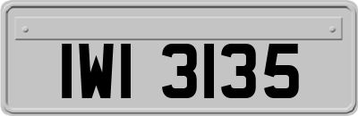 IWI3135