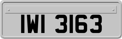 IWI3163