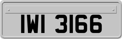 IWI3166