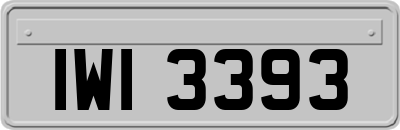 IWI3393