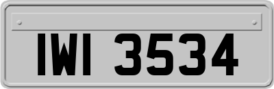 IWI3534