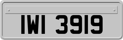 IWI3919