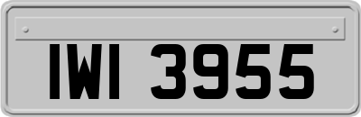 IWI3955