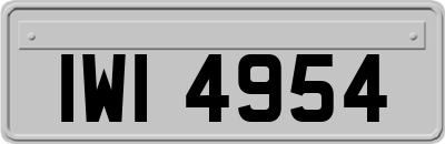 IWI4954