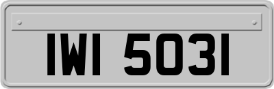 IWI5031