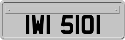 IWI5101