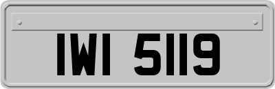 IWI5119